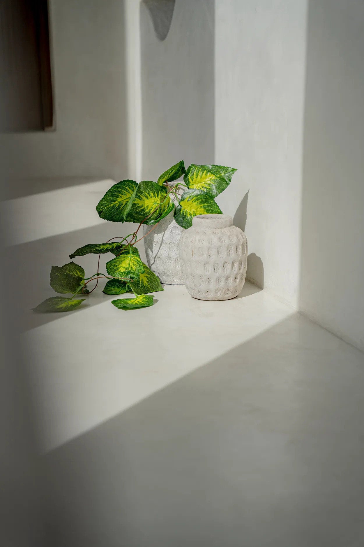 Vase Terre Ivoire