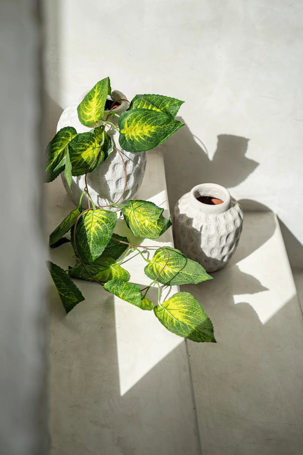 Vase Terre Ivoire
