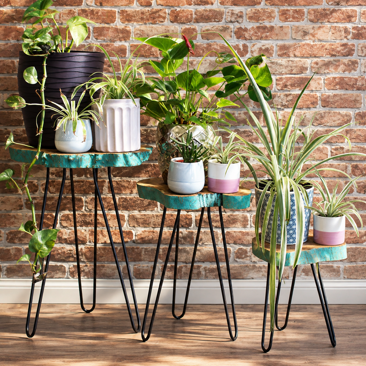 Porte-plantes Oréa en bois Gamal et métal noir mis en scène avec plusieurs plantes vertes